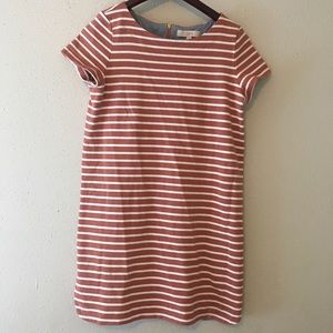 🌼❤️ANN TAYLOR LOFT Dress ❤️🌼